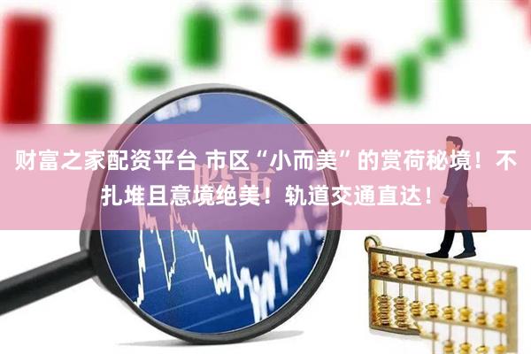 财富之家配资平台 市区“小而美”的赏荷秘境！不扎堆且意境绝美！轨道交通直达！